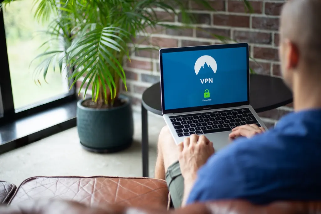 Man using a laptop in a room with a potted plant