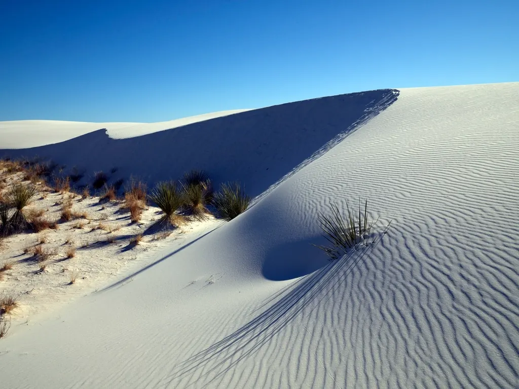 White gypsum sand dunes under a clear blue New Mexico sky