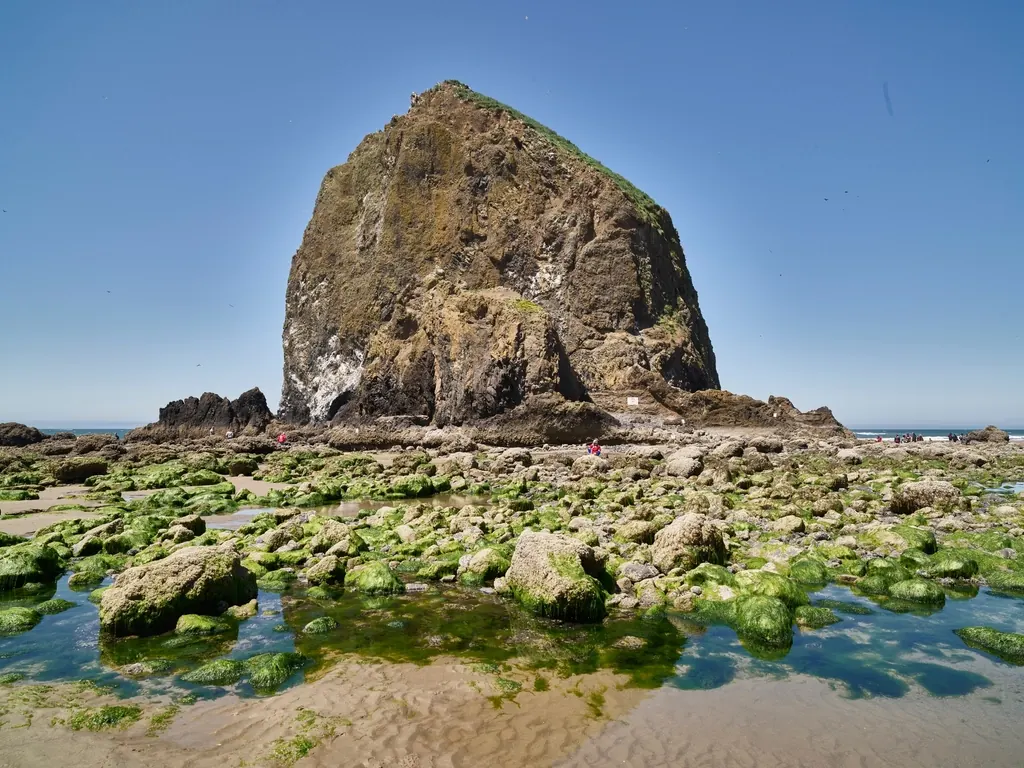 Haystack Rock standing offshore at Cannon Beach on the Oregon coast