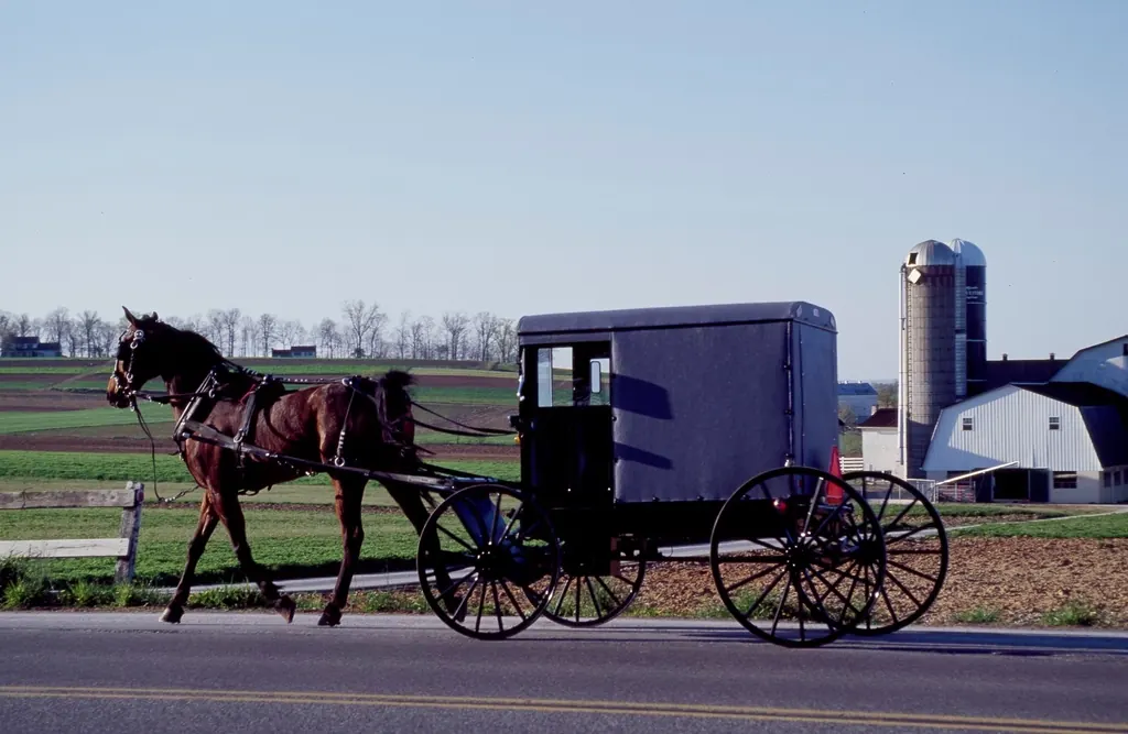 A horse-drawn buggy on a Pennsylvania country road