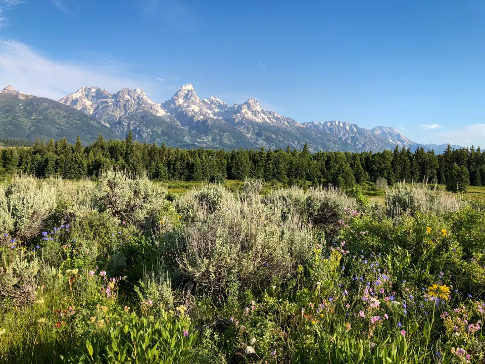 Grand Teton peaks above the Snake River in Wyoming